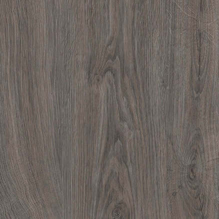 Дуб  Рошелье  6292